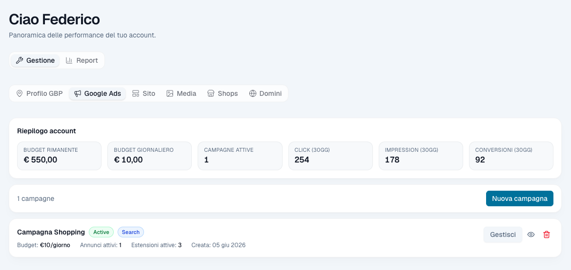 Gestione › Google Ads